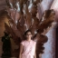 Krithi Achia